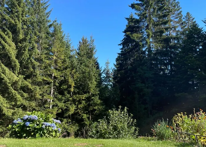 Appartement Haus Waldblick
